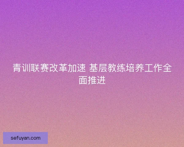 青训联赛改革加速 基层教练培养工作全面推进