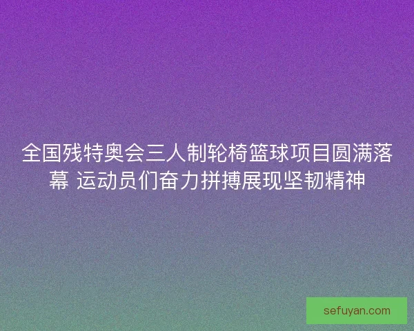 全国残特奥会三人制轮椅篮球项目圆满落幕 运动员们奋力拼搏展现坚韧精神